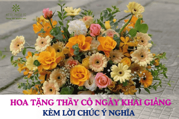 Hoa Tặng Thầy Cô Trong Ngày Khai Giảng